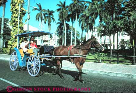 Stock Photo #10210: keywords - bahamas caribbean carriage carriages destination destinations horse horses horz nassau resort resorts sunny sunshine tour tours travel tropic tropical tropics vacation warm