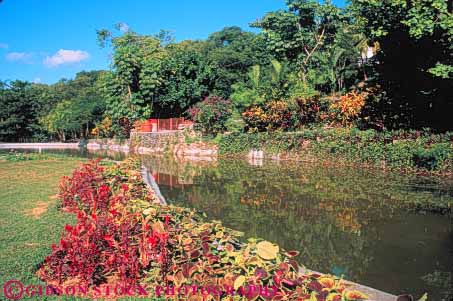 Stock Photo #10233: keywords -  and ardastra bahamas caribbean destination destinations garden gardens horz landscape landscaping lush nassau palms plant plants pond ponds pool pools resort resorts scenery scenic sunny sunshine travel tropic tropical vacation vegetation warm