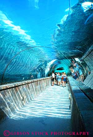 Stock Photo #10247: keywords - atlantis bahamas caribbean clear destination destinations dome in island islands lagoon material nassau ocean paradise people plastic resort resorts sea skylight sunny sunshine synthetic transparent travel tropic tropical tube tunnel tunnels under underwater vacation vert walk walking walkway warm