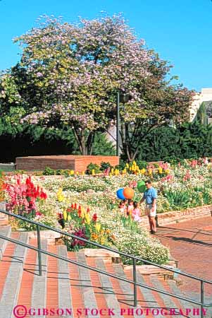 Stock Photo #9058: keywords -  arid arizona center civic climate community desert destination dry flower flowering garden gardens hot people phoenix plaza plazas resort resorts scottsdale southwest southwestern spring sunny travel vert warm west western