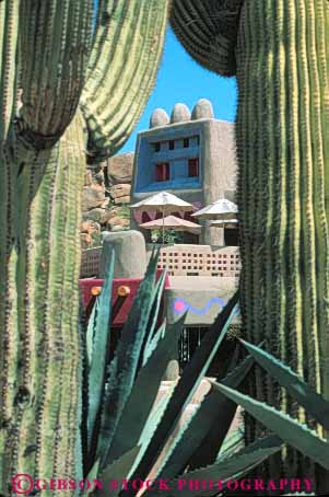 Stock Photo #9072: keywords - adobe arid arizona cactus climate community desert destination dry el hot mall pedregal phoenix resort resorts saguaro scottsdale seen southwest southwestern store stores sunny through travel vert warm west western