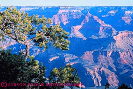 Stock Photo #10118: keywords - arizona canyon canyons colorado earth erode eroded eroding erosion famous geologic geological geology grand horz landmark landmarks landscape national park parks rim river rock scenery scenic science south southwest strata west western