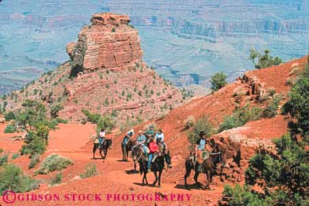Stock Photo #10121: keywords -  angel animal animals arizona bright burro canyon canyons colorado earth erode eroded eroding erosion famous geologic geological geology grand horse horsepack horsepacking horses horz landmark landmarks national pack park parks rim river rock science south southwest strata trail train west western