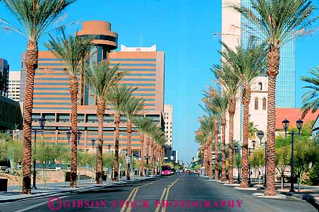 Stock Photo #17707: keywords -  architecture arizona building buildings business center city district downtown horz palm phoenix street streets tree trees urban