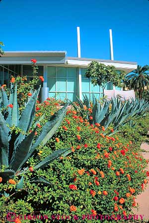 Stock Photo #11775: keywords -  agave architecture arizona design garden history lantana modern museum museums new of phoenix southwest style vert west western