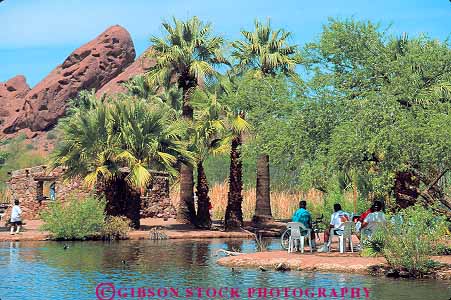 Stock Photo #11796: keywords - arizona horz in lake lakes landscape municipal outdoor outside palm papago park parks people phoenix pond ponds public recreation relaxing shade southwest tree west western