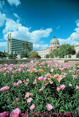 Stock Photo #11670: keywords -  arizona building county court dome domes downtown flower flowering plaza plazas public season southwest spring tucson vert west