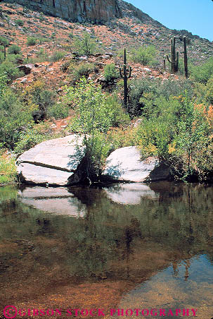 Stock Photo #11688: keywords - arizona canyon desert deserts in lake landscape landscapes nature oasis pond ponds sabino southwest tucson vert water west western wilderness