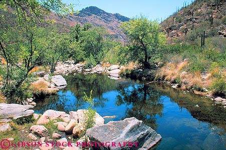 Stock Photo #11689: keywords -  arizona canyon desert deserts horz in lake landscape landscapes nature oasis pond ponds sabino southwest tucson water west western wilderness