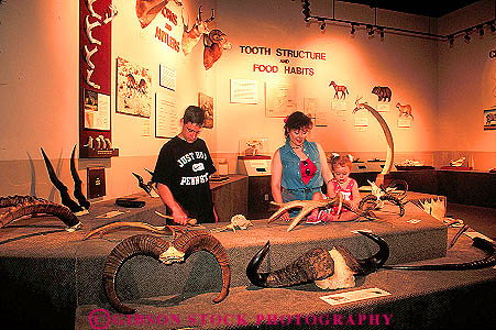Stock Photo #11701: keywords - animal animals arizona display displays exhibit exhibits horz international mounted museum museums people southwest stuffed tucson west western wild wildlife