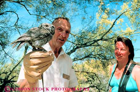 Stock Photo #11705: keywords -  animal animals arizona bird birds captive captivity climate desert deserts display environment habitat handler hold holding horz job jobs man museum museums nature owl owls shows sonoran southwest touch touching tucson volunteer volunteers west western wildlife work worker working works
