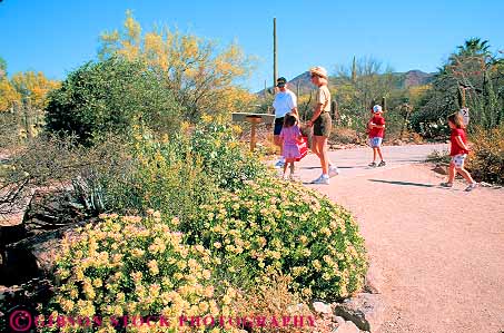 Stock Photo #11706: keywords -  arizona botanical climate climatology desert deserts environment families family garden gardens habitat horz museum museums nature plant plants sonoran southwest summer tour touring tucson vegetation walk walking warm west western