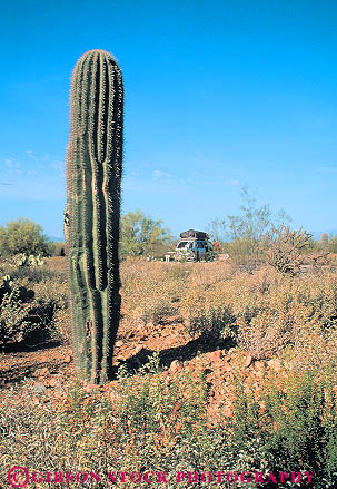 Stock Photo #11710: keywords - arizona cactus camp camper campers camping camps car climate desert deserts dry environment habitat hot in mountain nature outdoor outside park recreation recreational rv rvs saguaro southwest tucson vehicle vert west western wilderness