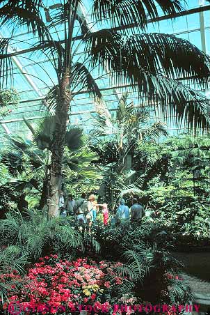 Stock Photo #12116: keywords -  alberta botanical calgary canada conservatories conservatory garden gardens greenhouse greenhouses inside park parks people plant plants public season summer vert zoo zoos