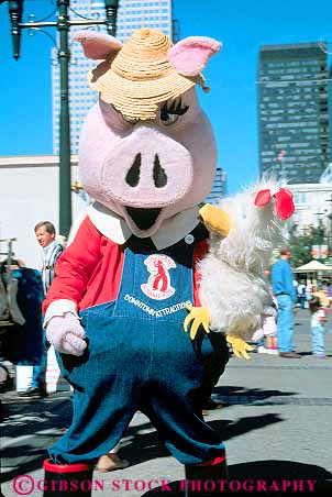 Stock Photo #12130: keywords - activity alberta animal animals annual calgary canada costume costumes event events fair fairs festival festivals gathering hog in person pig pigs social stampede vert