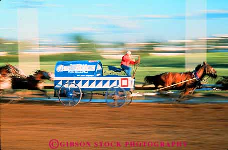 Stock Photo #12142: keywords -  action activity alberta annual blur blurred calgary canada chuck competition contest dynamic event events fair fairs festival festivals gathering horses horz motion move movement moving pull pulling pulls race racer races racing social stampede wagon wagons