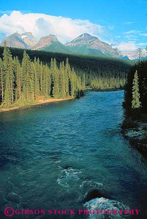 Stock Photo #12479: keywords - alberta banff bow canada clean environment forest landscape landscapes mountains national natural nature park parks pristine public pure quiet remote river rivers scenery scenic vert water wild wilderness