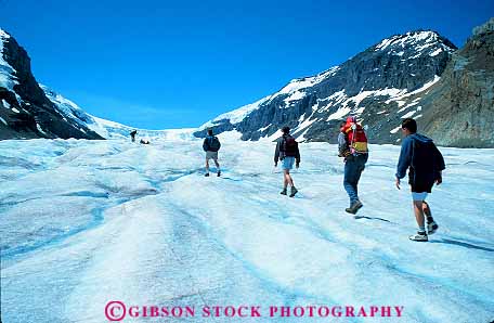 Stock Photo #12500: keywords -  alberta athabasca canada caution climate cold freeze froze frozen glaciated glaciation glacier glaciers hike hiker hikers hiking horz ice icy jasper national natural nature park people scenery scenic slip slippery up valley walk walker walkers walking wild wilderness winter