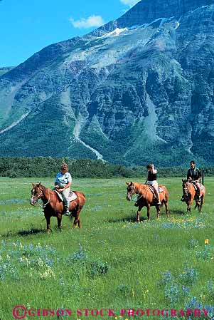 Stock Photo #12505: keywords - activity alberta animal canada horse horseback horses lakes landscape mammal meadow mountain mountains national natural nature park parks people public recreation resort resorts ride riders riding rocky scenery scenic summer trip vert waterton