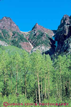 Stock Photo #18694: keywords - and aspen colorado landscape mountain mountains natural nature near peaks region rockies rocky scenery scenic state tree trees vert wild wilderness