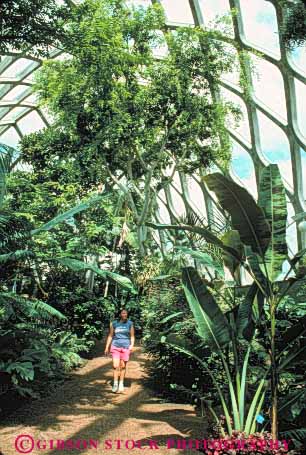 Stock Photo #11054: keywords - alone boettcher botanical colorado conservatories conservatory denver dome domes garden gardens glass greenhouse greenhouses in released solitary solitude vert walking woman women