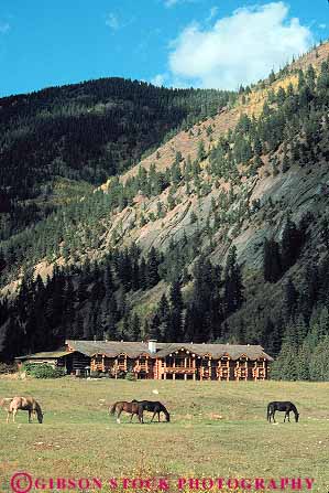 Stock Photo #12849: keywords -  aspen colorado countryside destination home horse horses house houses log mountain mountains pasture ranch rocky travel vert west western