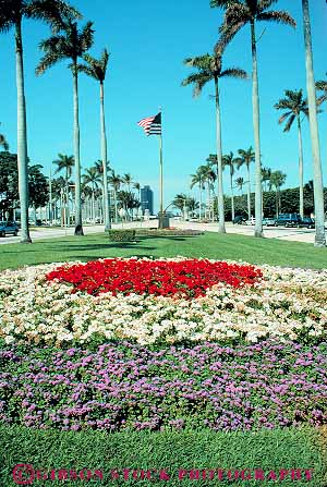 Stock Photo #11756: keywords -  american beach boulevard colorful destination flag florida garden gardens landscape landscaped landscaping palm park parks plant planted plants plaza plazas poinciana resort resorts travel tree trees vacation vert way