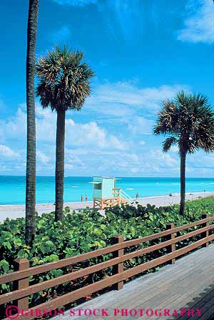 Stock Photo #11499: keywords -  and beach beaches boardwalk coast coastal florida landscape miami palm sand scenery scenic shore shoreline tree vert
