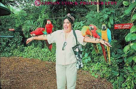 Stock Photo #11548: keywords -  animal animals anxious bird birds colorful emotion emotional express expression face florida hold holding horz jungle laugh miami parrot parrots people person smile tame touch woman