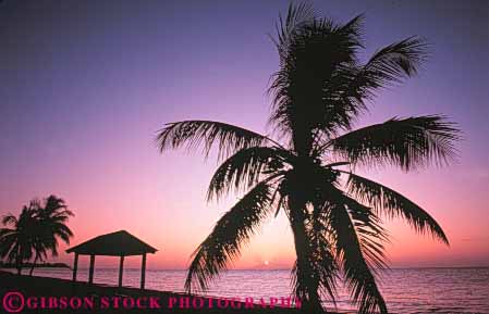 Stock Photo #9514: keywords -  beach beaches dawn destination florida horz islands key keys palm pink resort resorts silhouette silhouettes sun sunrise sunset travel tree tropic tropical vacation warm west
