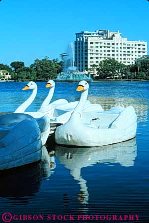 Stock Photo #8283: keywords -  bird boat boats destination eola florida imitate imitates imitation lake material orlando peddle plastic play rent rental simulate simulates simulating swan synthetic toy travel usa vacation vert white