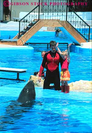 Stock Photo #8352: keywords - activities activity amusement and animal animals arm arms attrac communicate communicates communicating communications destination entertain entertaining entertainment entertains false families family florida fun girl hand hands killer leisure mammal mammals marine orlando park people perform performance performing performs person play practice resort resorts sea show signal signaling signals tion tourist trained trainer travel usa vacation vert whale whales world