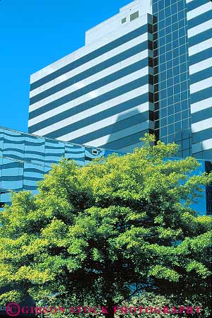 Stock Photo #12170: keywords - abstract architecture building buildings design florida green grid jacksonville new office pattern plant style tree trees vert