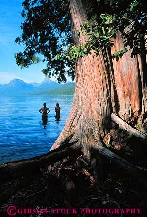 Stock Photo #12900: keywords -  chilly glacier in lake landscape landscapes mcdonald montana mountain mountains national nature park parks public recreation rocky scenery scenic swim swimmer swimmers swimming tree trees vert water wilderness women