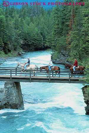 Stock Photo #12903: keywords -  bridge bridges falls glacier horse horseback horses landscape landscapes mcdonald montana mountain mountains national nature over park parks public rapid rapids recreation ride riders riding river rocky scenery scenic vert wilderness