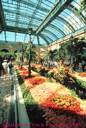 Stock Photo #8194: keywords -  bellagio botanic botanical casinos colorful conservatory destination flower flowers fun garden gardens hotel hotels indoor interior las nevada people plant plants recreation relax resort resorts skylight skylights tourist tourists travel traveler travelers usa vacation vegas vert