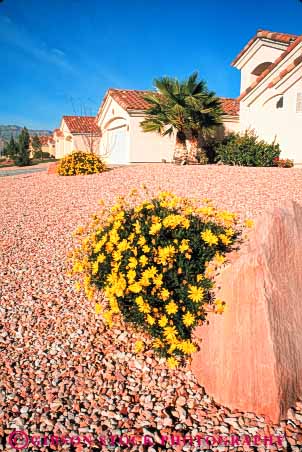 Stock Photo #8213: keywords -  arid clean coreopsis desert dry gravel home homes house houses landscape landscaped landscaping las modern neighborhood neighborhoods nevada new residence residential rock rocks stone stones vegas vert