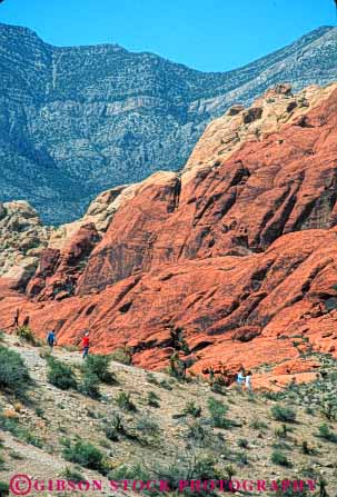 Stock Photo #8227: keywords -  area canyon conservation desert destination explore geologic geology hike hiker hikers hiking in landscape las national nature near nevada people recreation red redrock rock sandstone scenery scenic travel vegas vert walk walkers walking