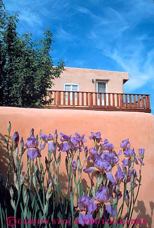 Stock Photo #12956: keywords - adobe architecture brown design flower flowering flowers garden home homes house houses iris irises mexico mountains new pueblo rocky spring style taos vert west western