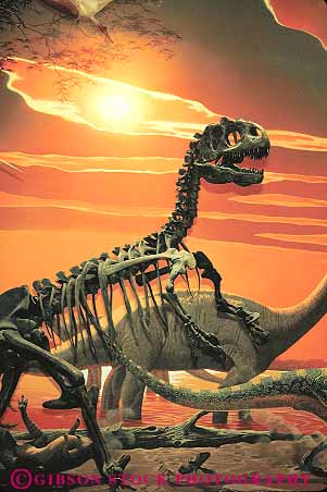dinosaur bone display