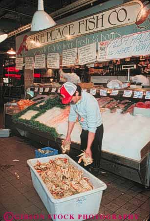 Stock Photo #10282: keywords -  business cities city crab crabs display food interior job jobs man market markets merchandise northwest pike pikes produce retail seattle sell selling shellfish store stores unpacks vert washington work worker workers working works