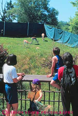 Stock Photo #10299: keywords -  attraction child children cities city families kid kids look looking mother mothers northwest observe observing parent parents park parks people seattle see seeing springboks tourist vert viewing washington watch watching women woodland zoo zoos