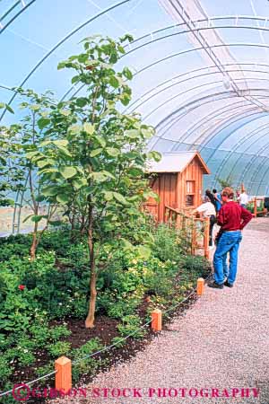 Stock Photo #10302: keywords - attraction butterfly cities city contain containment enclose enclosed enclosure greenhouse greenhouses in material northwest park people plastic seattle synthetic tourist translucent transparent vert washington woodland zoo