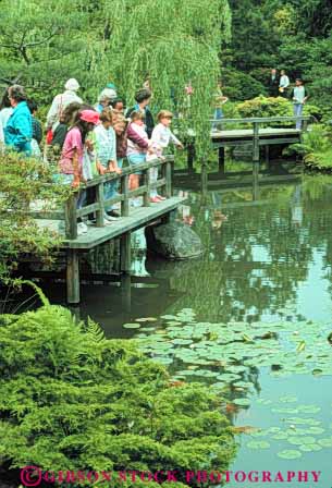 people at Japanese Garden Seattle Washington Stock Photo 10307