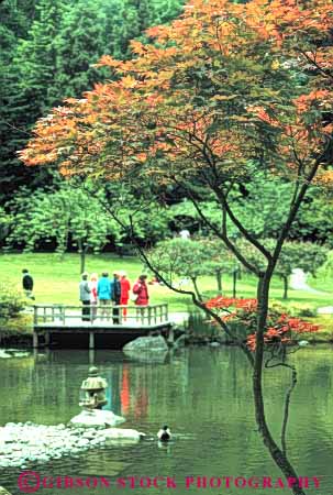 Stock Photo #10308: keywords - attraction botanical cities city garden gardens japanese landscape municipal northwest park parks people pond ponds public seattle tourist vert washington