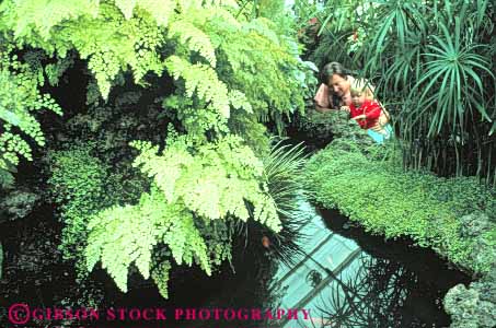 Stock Photo #10309: keywords -  attraction baby child cities city conservatories conservatory daughter fern ferns girl greenhouse greenhouses horz in infant mother municipal northwest parent park parks public released seattle single toddler tourist volunteer washington