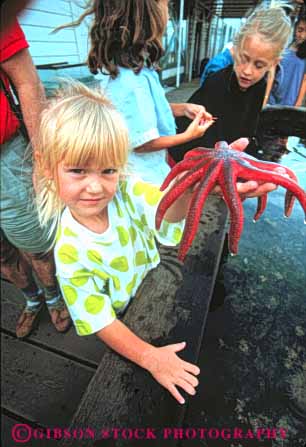 Stock Photo #10327: keywords - animal animals aquarium aquariums child children cute girl girls hands hold holds interactive kid life marine museum museums northwest outdoor outside public science sea seattle star starfish touch touching vert washington