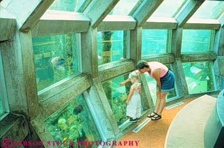 Stock Photo #10329: keywords -  aquarium aquariums child children daughter fish girl girls hands horz kid life marine mother museum museums northwest public released science seattle view washington