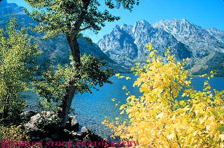 Stock Photo #12045: keywords - autumn fall grand horz jenny lake lakes landscape landscapes maple mountain mountains national park parks rocky scenery scenic season teton west western wyoming