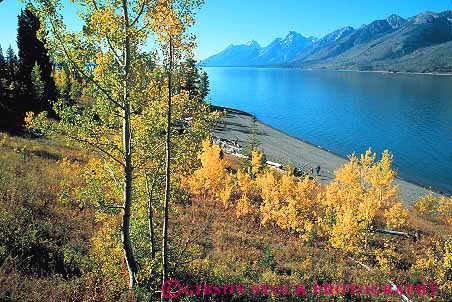 Stock Photo #12999: keywords - alpine aspen autumn color daughter deciduous environment fall foliage grand habitat horz jackson lake lakes landscape mother mountain mountains national natural nature outdoor outside park parks people public rocky scenery scenic season stroll strolling teton tetons tree trees walk walking west western wyoming